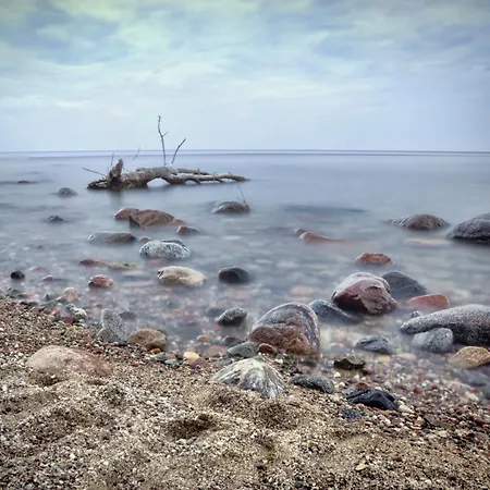 Lejlighed Biala Mewa Sopot
